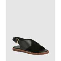 Read Wittner Reviews